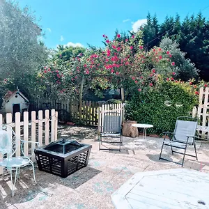 book here